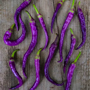 Buena Mulata Hot Pepper Seeds