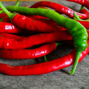 Ierapetras Hot Pepper Seeds