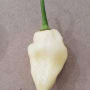 White Hot Pepper Seeds