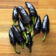 Black Chili Hot Pepper Seeds