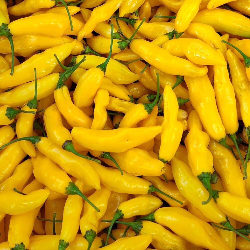 Yellow Hot Pepper Seeds