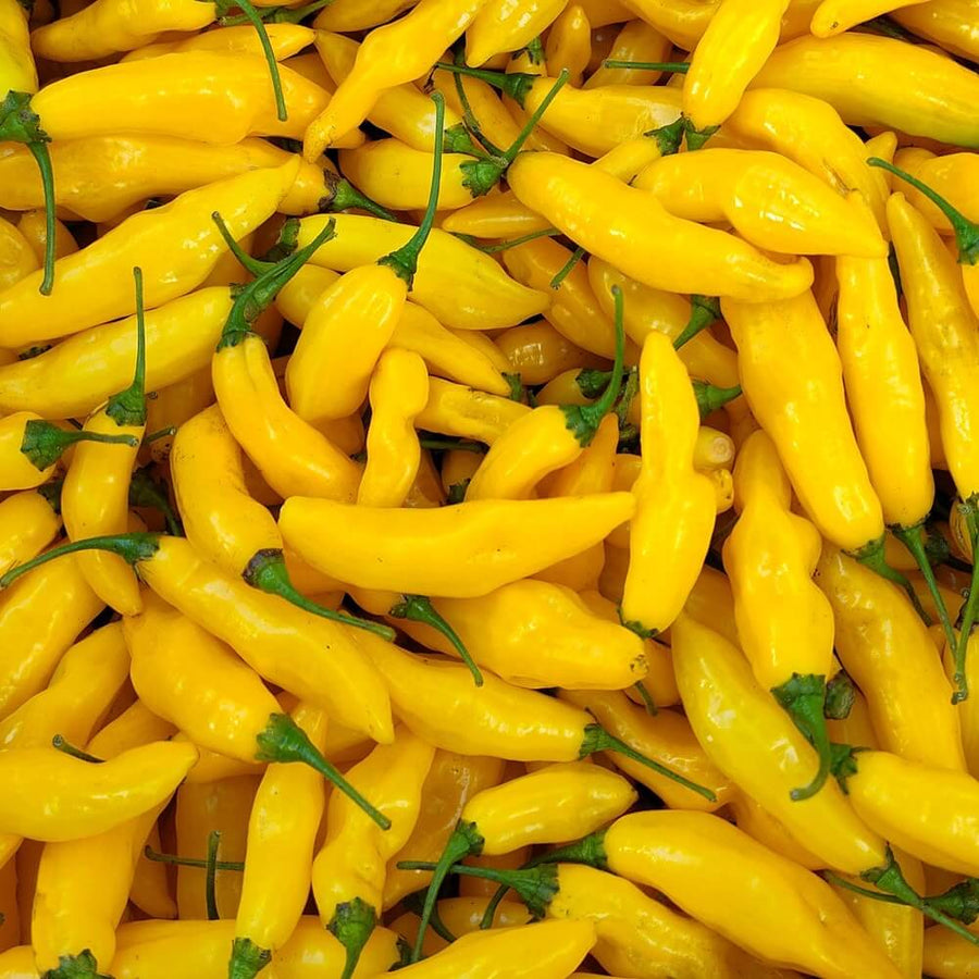 Yellow Hot Pepper Seeds