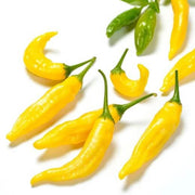 Yellow Hot Pepper Seeds