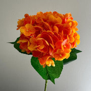 Orange Hydrangea Seeds