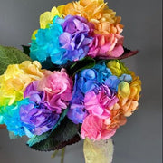 Pastel Rainbow Hydrangea Seeds
