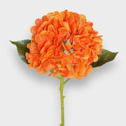Orange Hydrangea Seeds