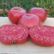 Omar's Giant Tomato Seeds