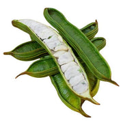 Inga edulis Ice Cream Bean Seeds