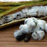 Inga edulis Ice Cream Bean Seeds
