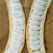 Inga edulis Ice Cream Bean Seeds