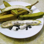Inga edulis Ice Cream Bean Seeds