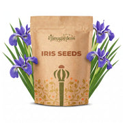 Iris Seeds – Iris germanica