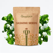 Jasmine Seeds – Jasminum spp.
