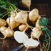 Jicama Seeds - Herbal Plant for Home Gardens Seeds