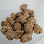 Jocote Seeds - Fruit Plant For Home Gardens