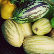 Melon Pear Pepino Seeds