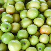 Jujube Seeds - All In One For Home Gardens