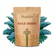 Kale Seeds – Brassica oleracea var. sabellica