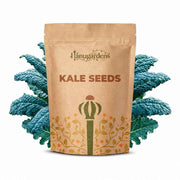 Kale Seeds – Brassica oleracea var. sabellica