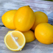Kitchen Garden Citrus Seeds