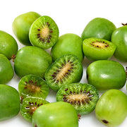 Green Kiwi Seeds