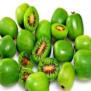 Issai Kiwi Seeds