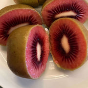 Ruby Seeds, Actinidia deliciosa