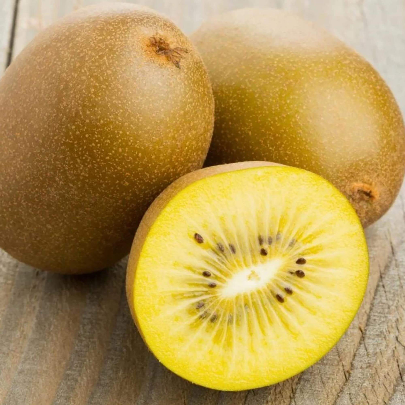 Golden Kiwi Seeds