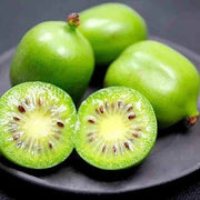 Green Kiwi Seeds