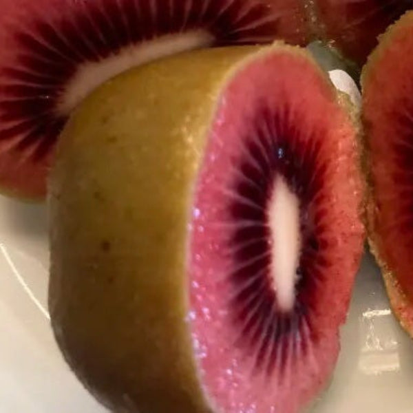 Scarlet Red-Fleshed Kiwi Seeds