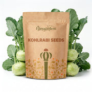 Kohlrabi Seeds – Brassica oleracea var. gongylodes