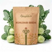 Kohlrabi Seeds – Brassica oleracea var. gongylodes