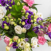 Floral Mix Lisianthus Seeds