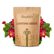 Lantana Seeds – Lantana camara