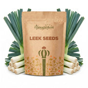 Leek Seeds – Allium porrum