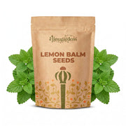 Lemon Balm Seeds – Melissa officinalis