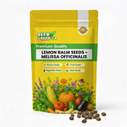 Melissa Officinalis Lemon Balm Seeds, Herbal