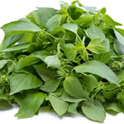 Lemon Basil Seeds, Herbal