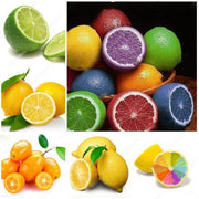 Rainbow Lemon Seeds