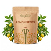 Lemon Seeds – Citrus limon