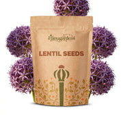 Lentil Seeds – Lens culinaris