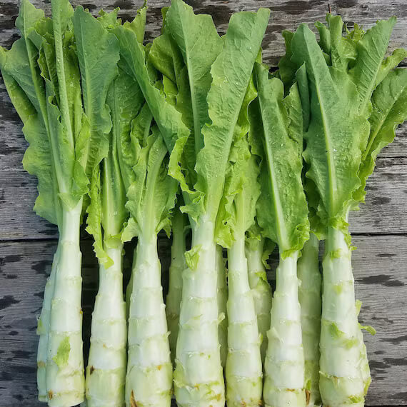 Asparagus Lettuce Seeds