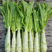 Asparagus Lettuce Seeds