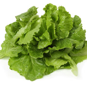 Black Lettuce Seeds