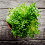 Green Ice Lettuce Seeds