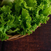 Green Ice Lettuce Seeds