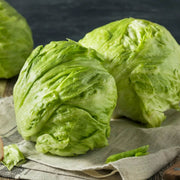 Iceberg Crisp Head Lettuce Seeds