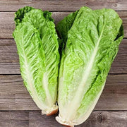 Romaine Lettuce Seeds