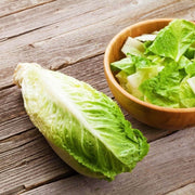 Romaine Lettuce Seeds