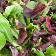 Mesclun Mix Lettuce Seeds